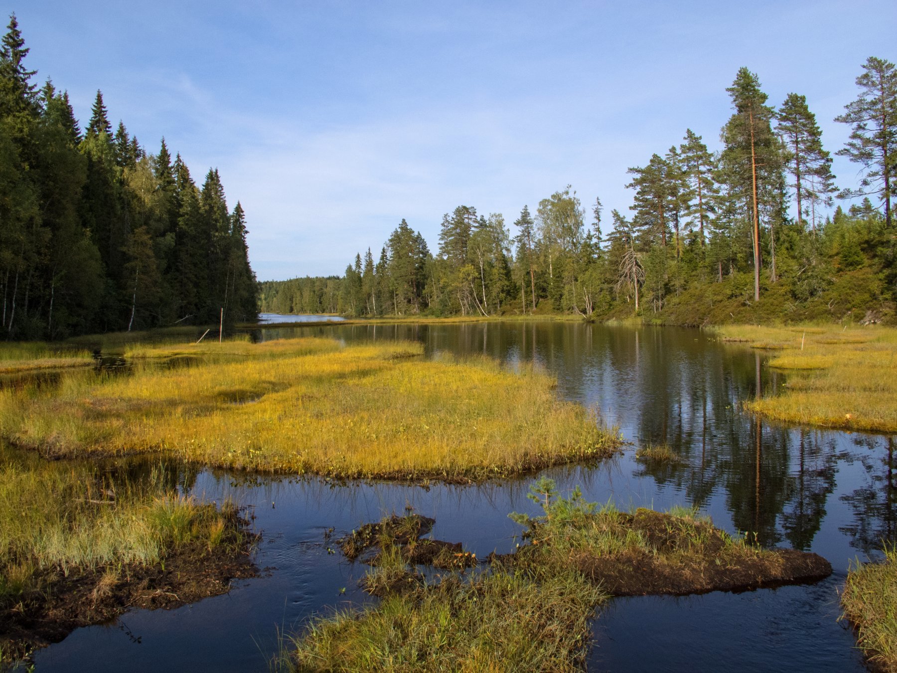 Vakker høstdag i Romeriksåsene