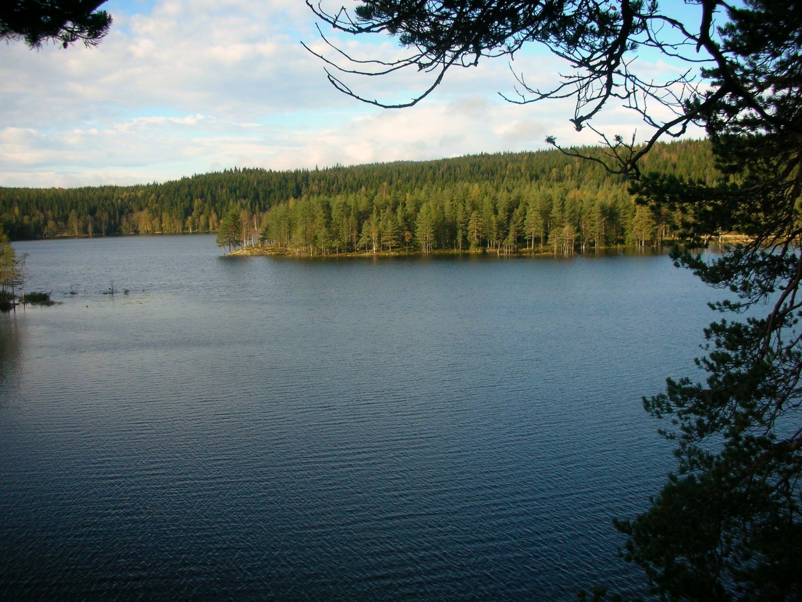 Vakker høstmorgen ved Øyungen