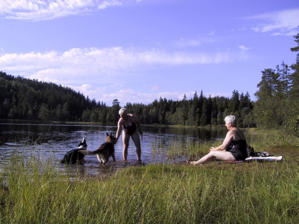 Vannavkjøling både for mennesker og dyr