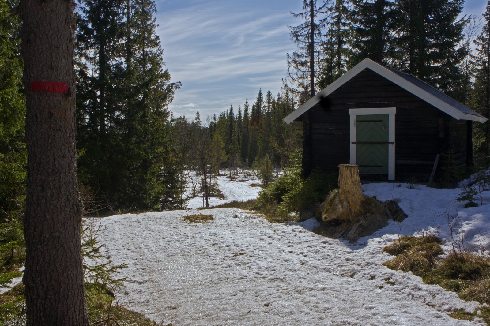 Vår i skiløypa fra Ringkollen
