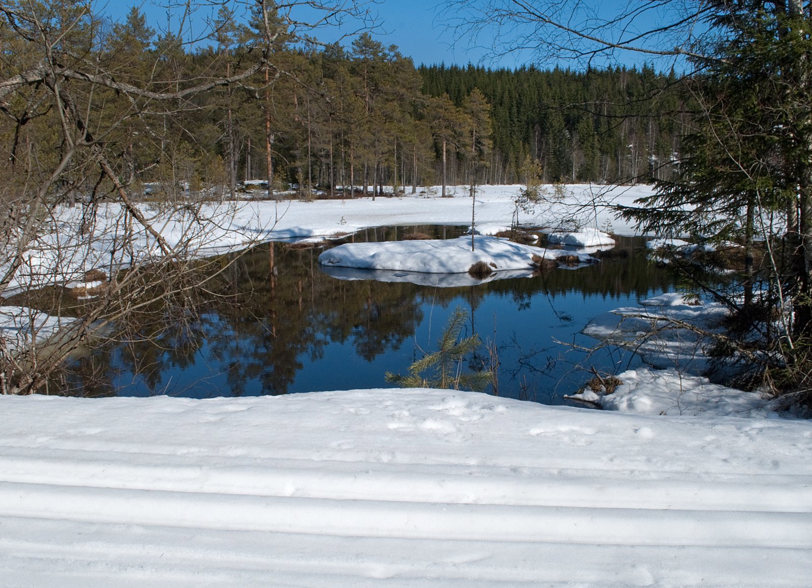 Vår ved Svartputten