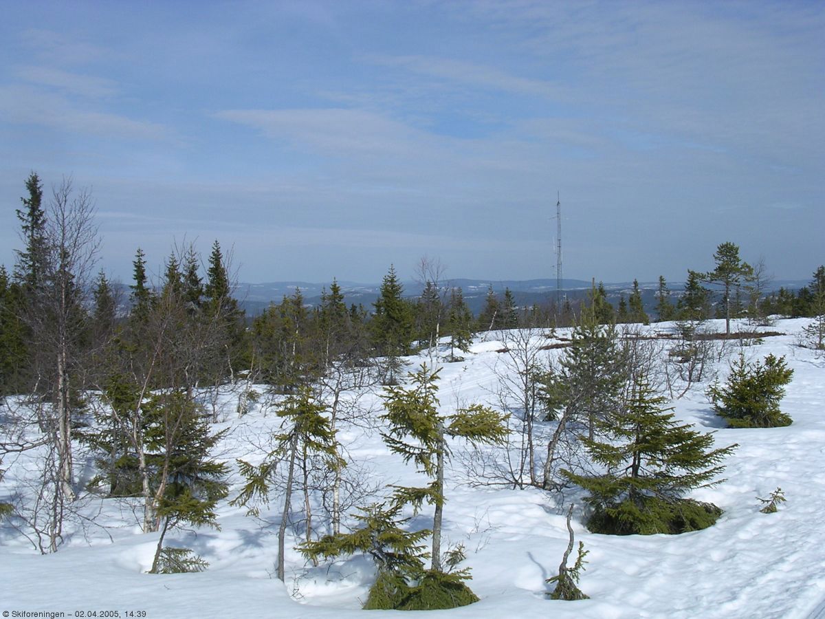 Vårdag på Bislingen