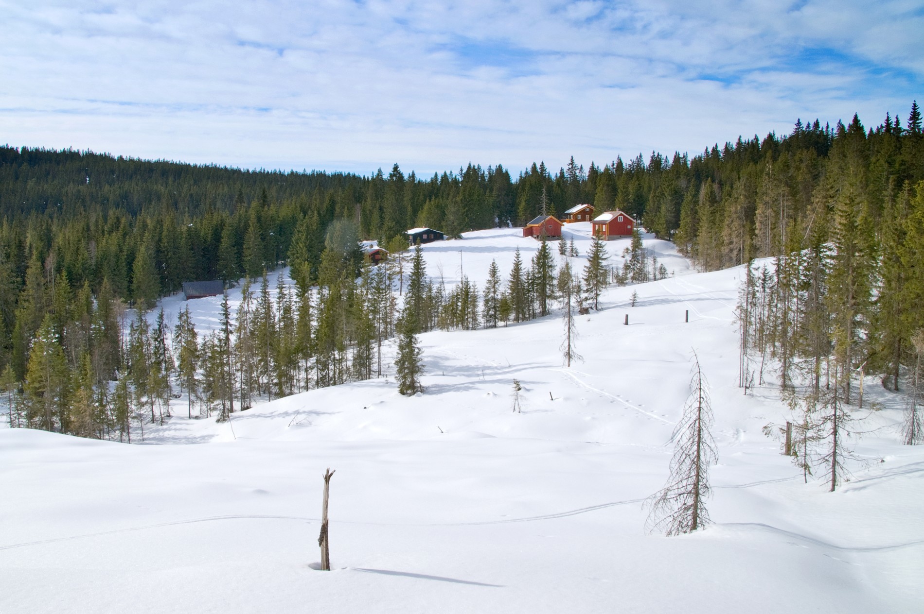 Vårdag ved Huken seter