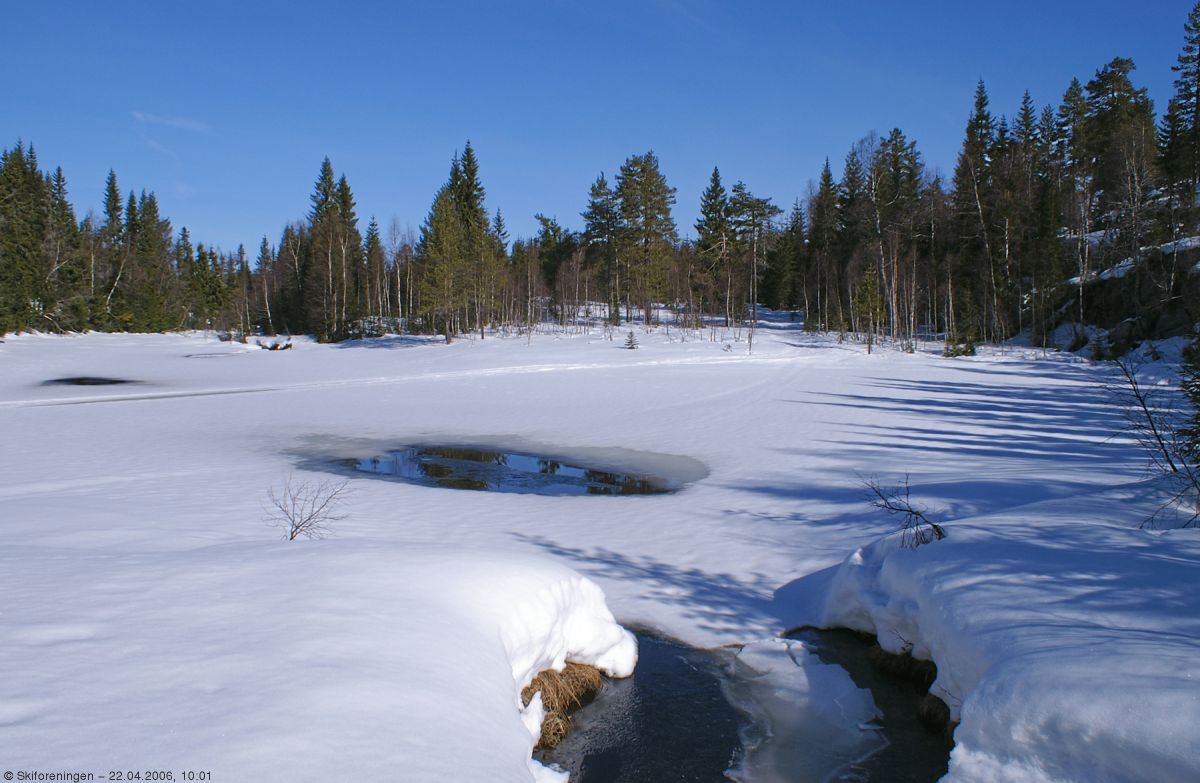 Vårføre nord for Grimsvann