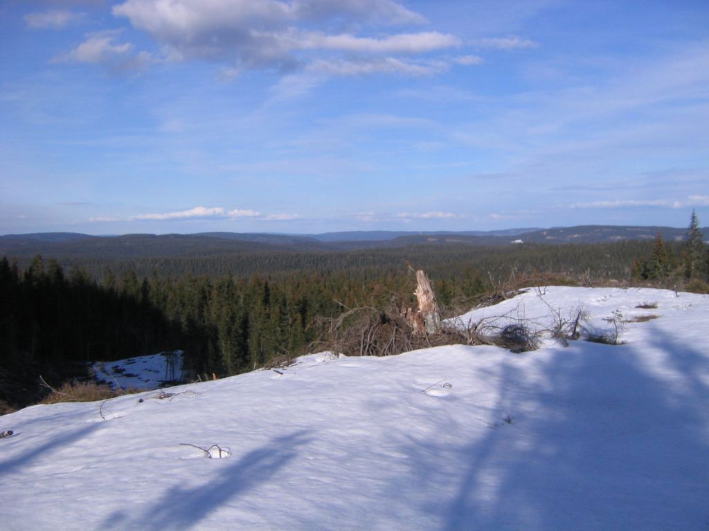 Vårføre på Øyangsrøysa