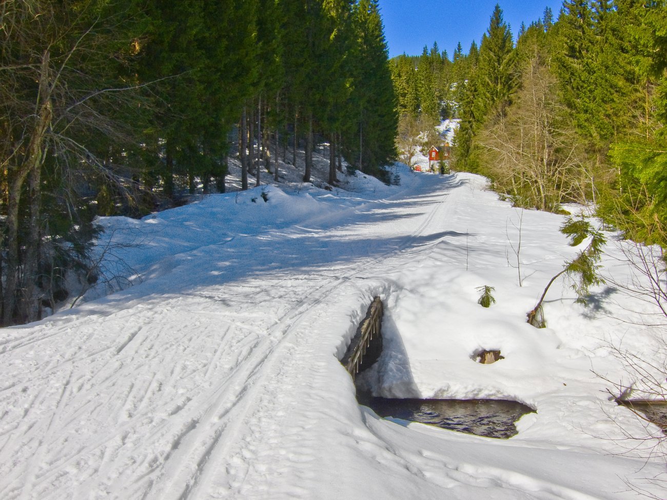 Vårføre ved Storebekkhytta