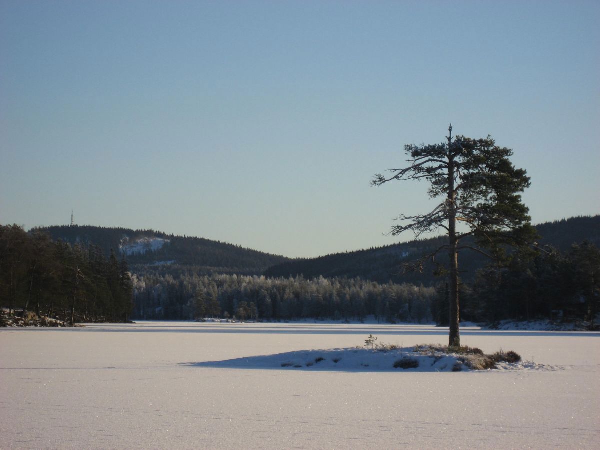 Varingskollen fra Elvann