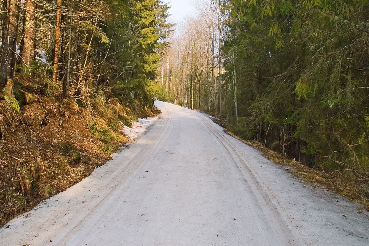 Vårlig løype ved Guriby sag