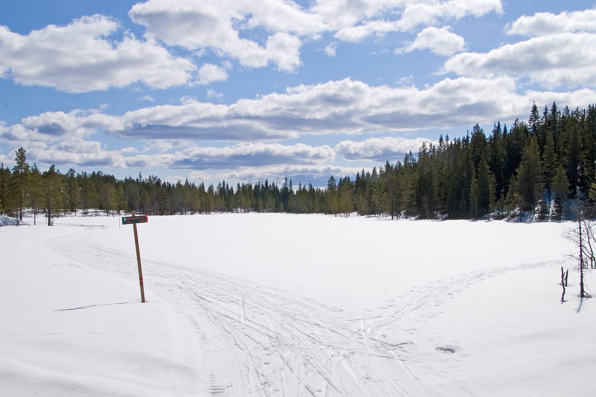Vårlig løypekryss på Stormyra