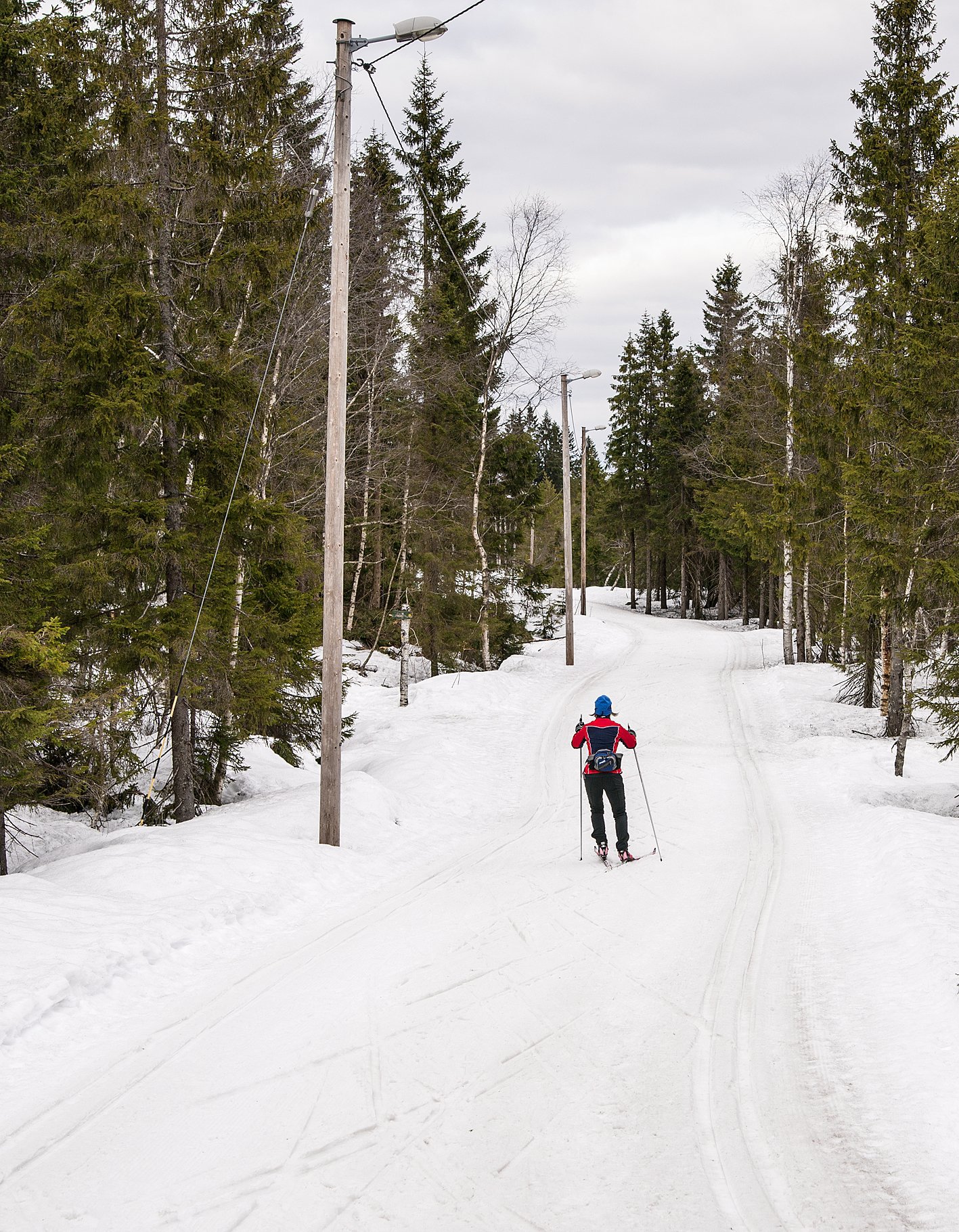 Vårlige forhold ved Nikulpmyrene