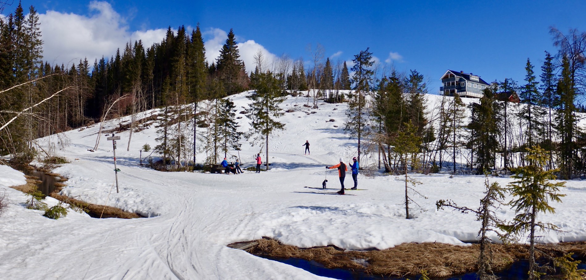 Vårskiløpere ved Trantjern