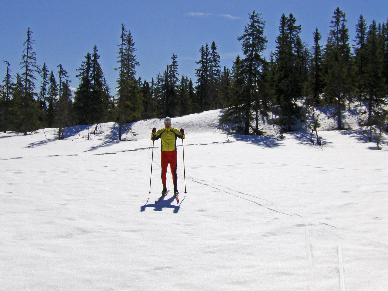 Vårskiløping 2. mai