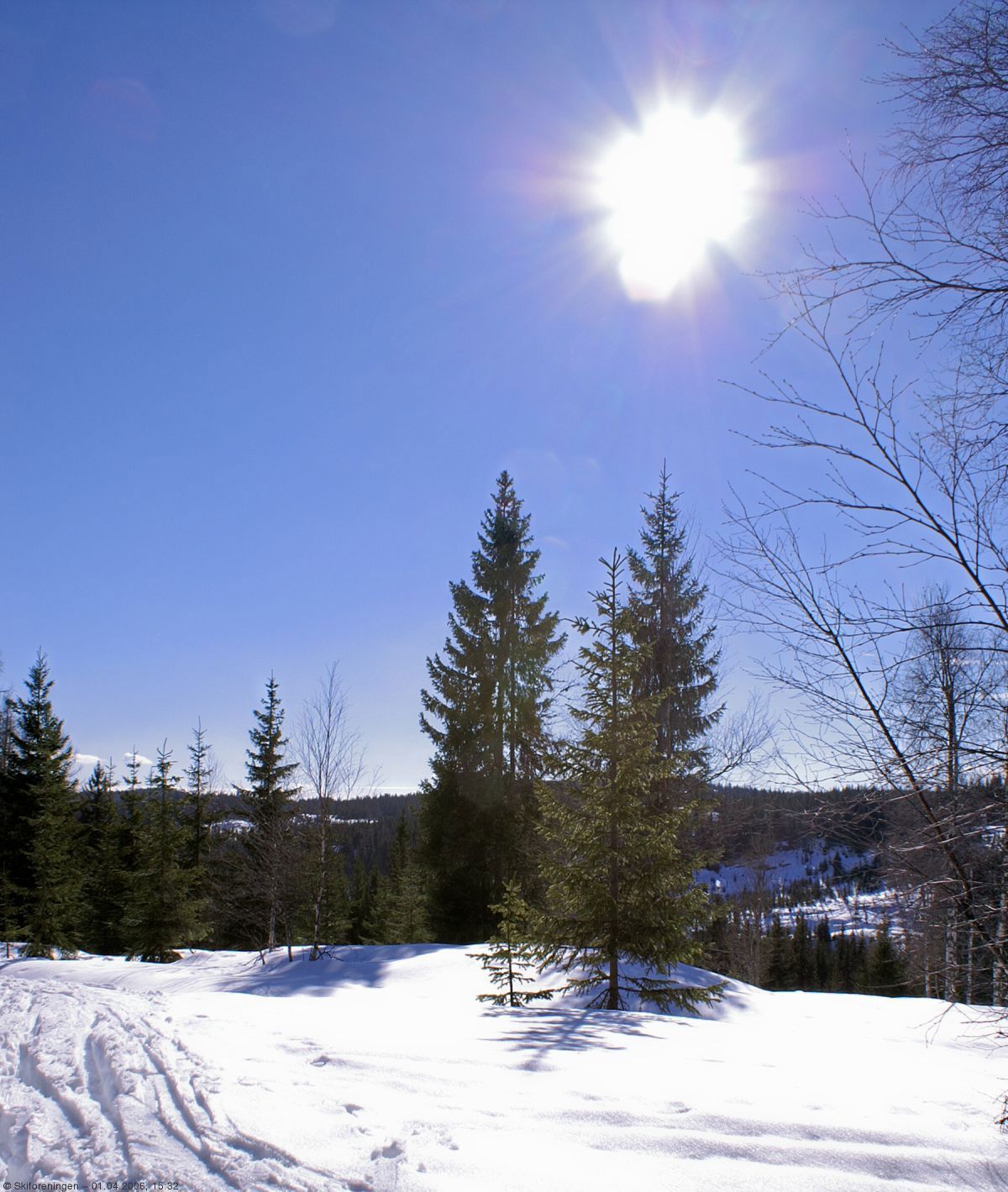 Vårsolen varmer på Krokskogen