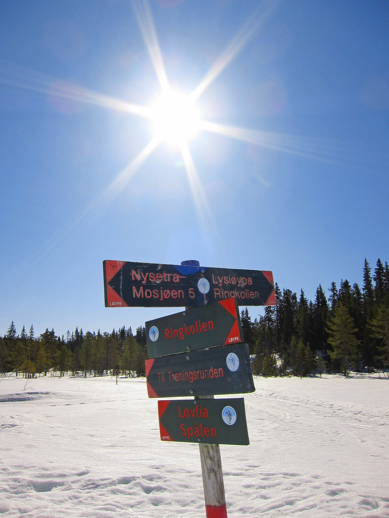 Vårstemning og flott skiføre ved Ringkollen