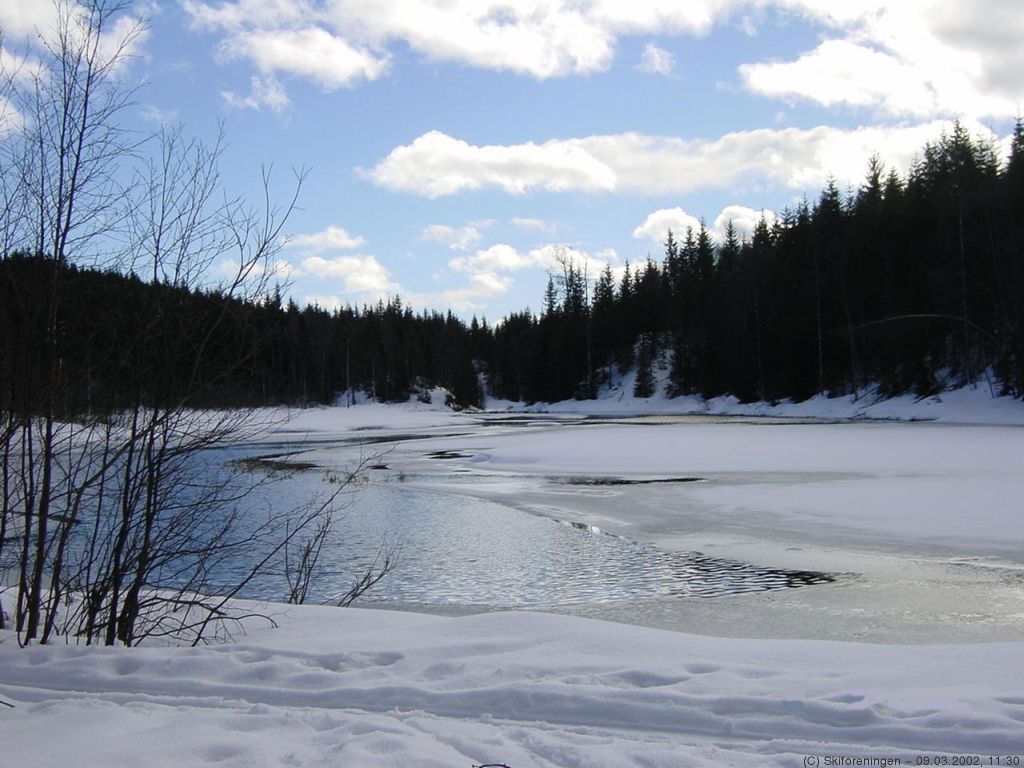Vårstemning ved Myrtjern