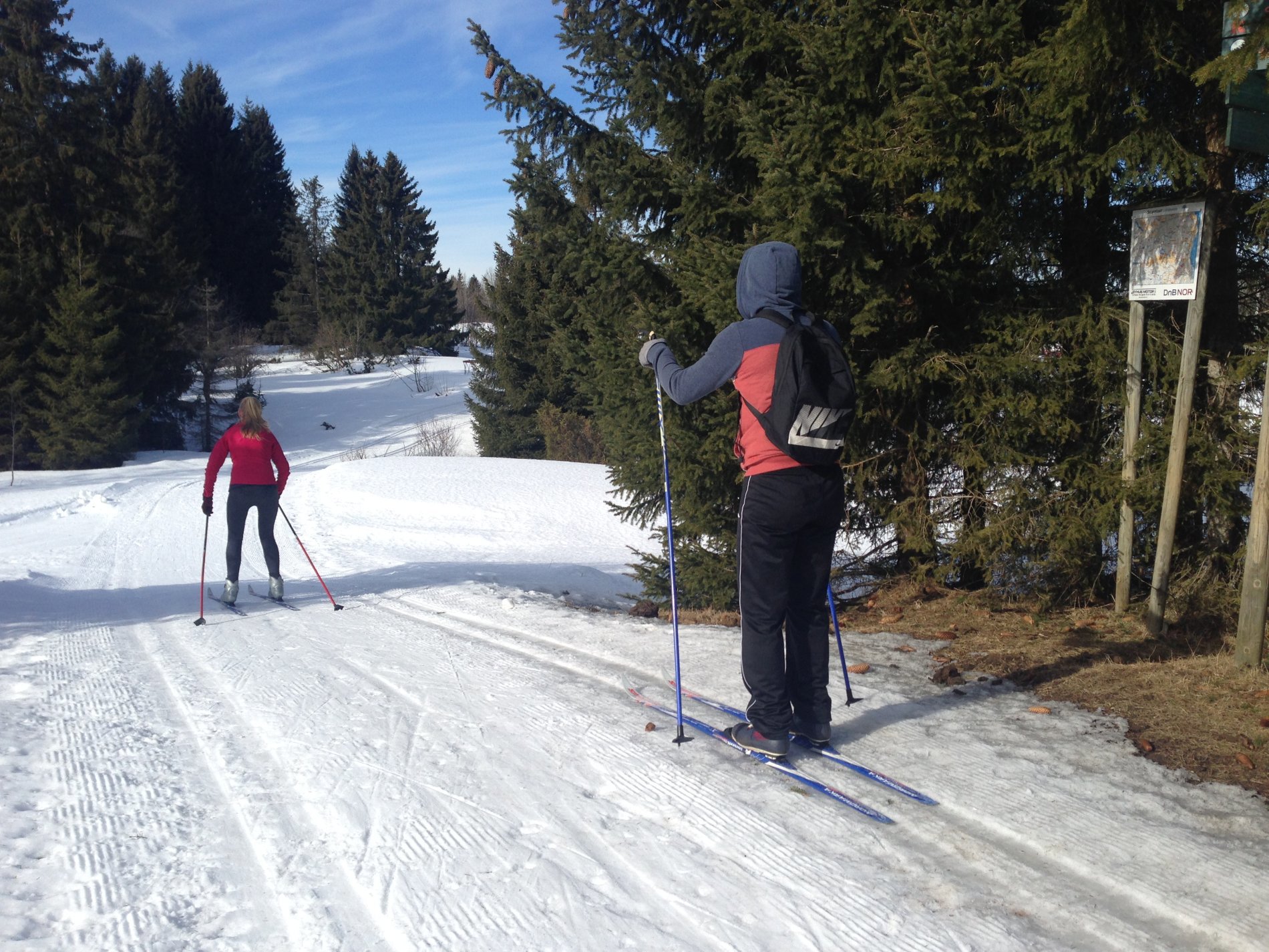 Vårtendenser ved Tømmerhol