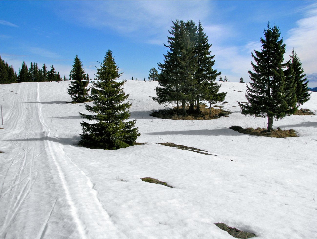 Vårtur 2010: Vårlig, men godt skiføre ved Fellessætra