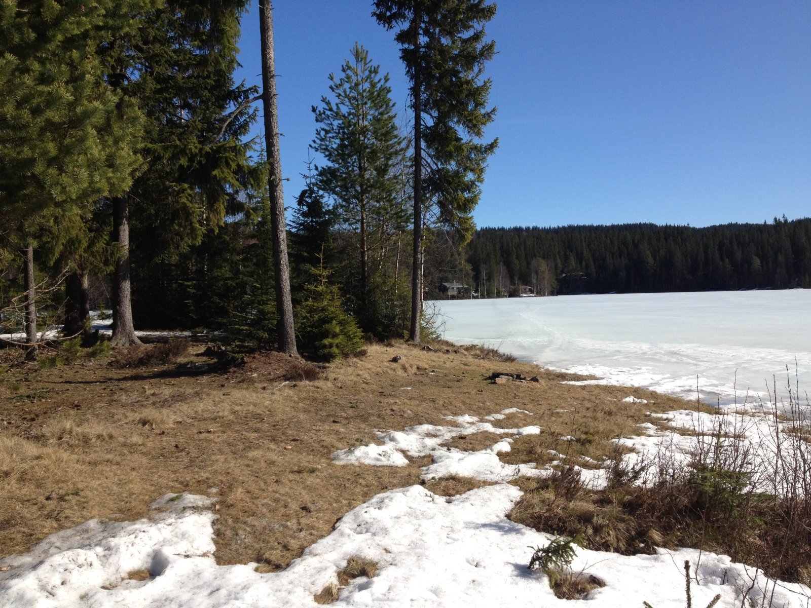 Vårtur 2012: Røtjennet