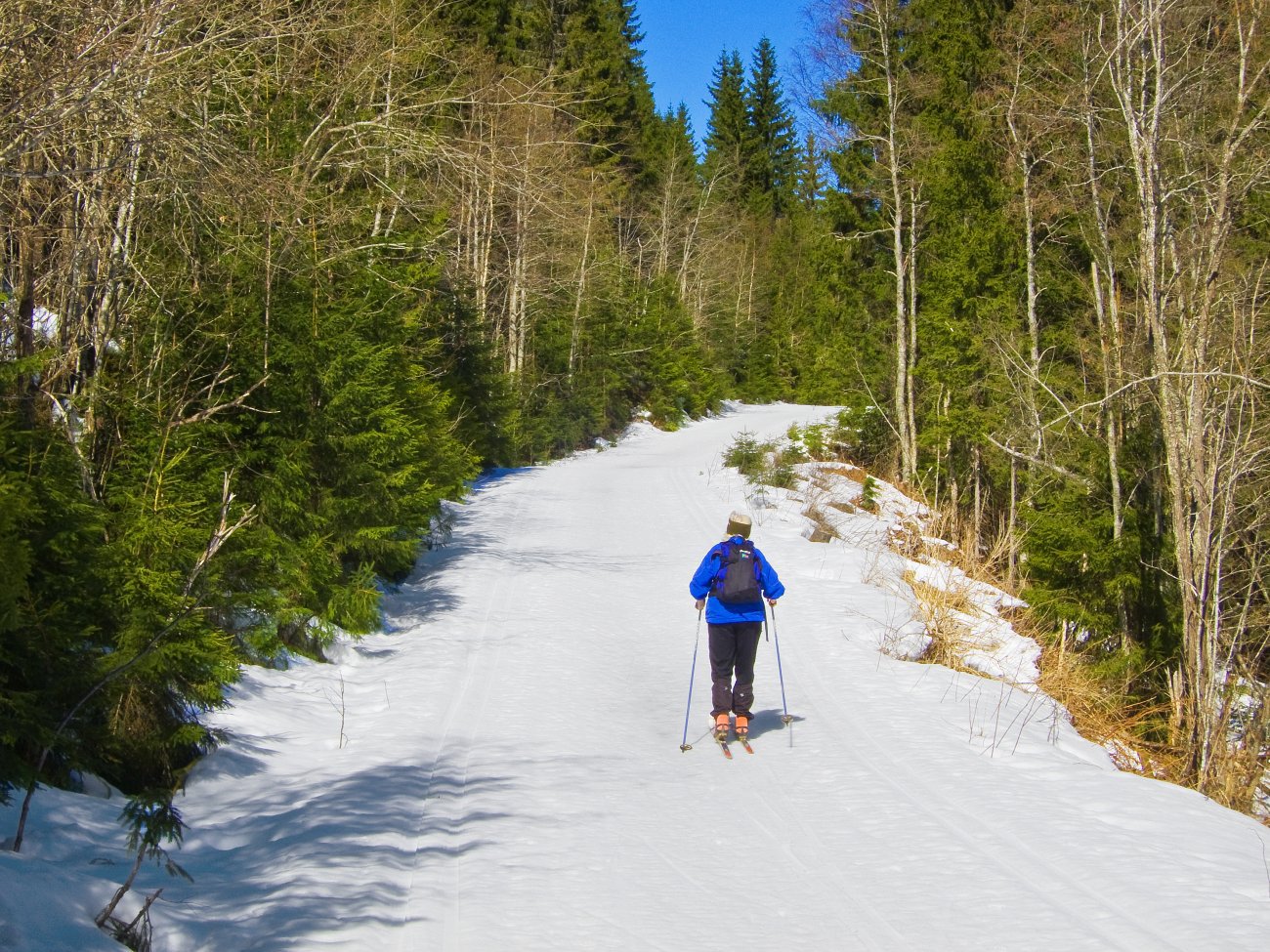 Vårtur på Djupdalsveien