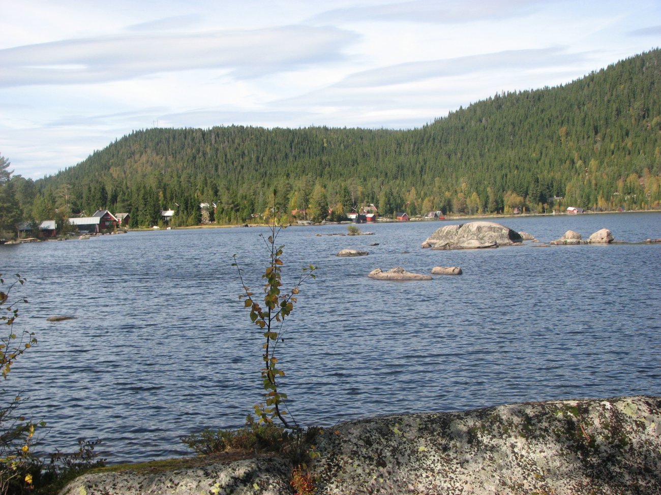 Vassbråa mot Sagvollen