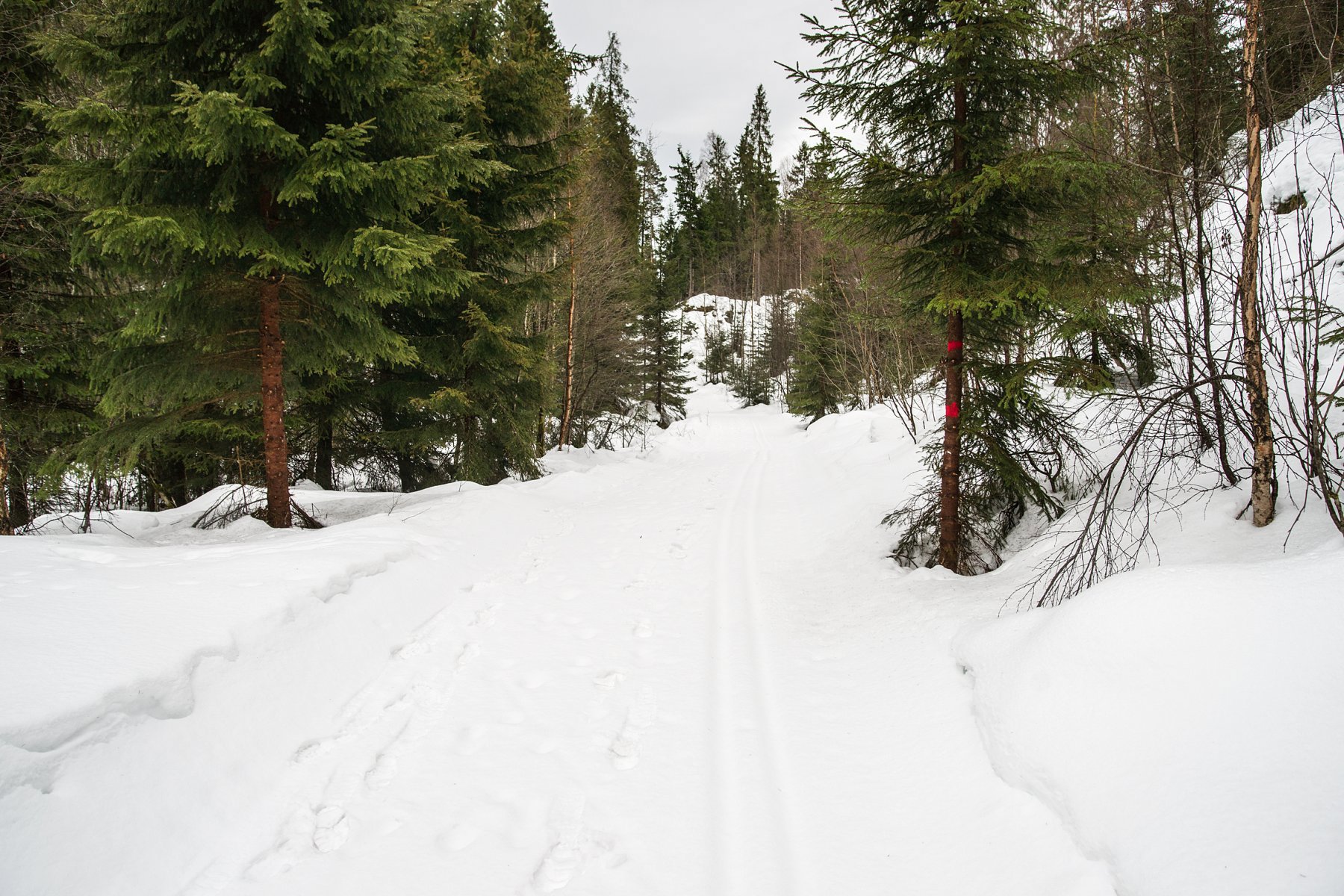 Våt nysne i sporet