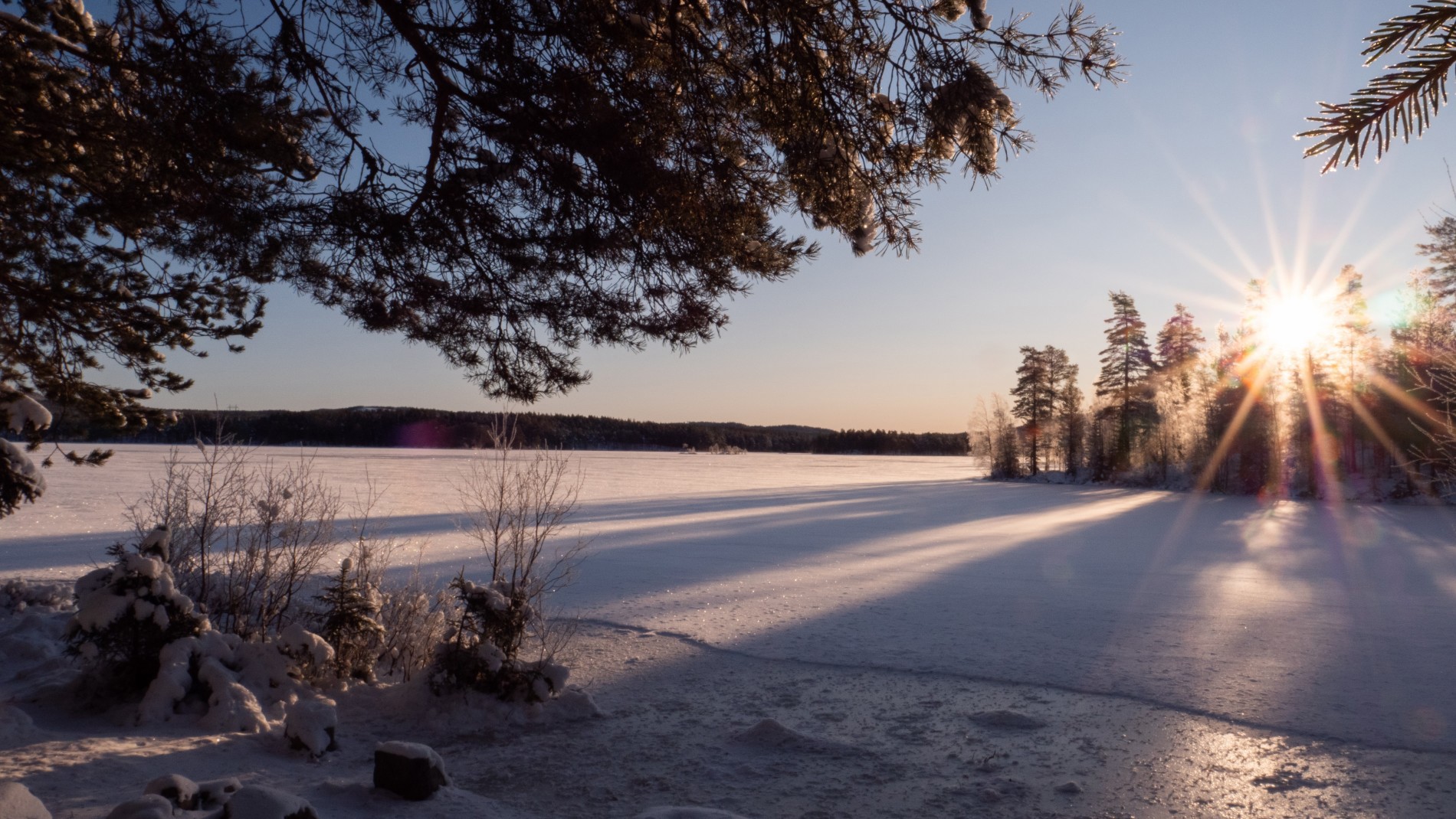 Ved bredden av Våja