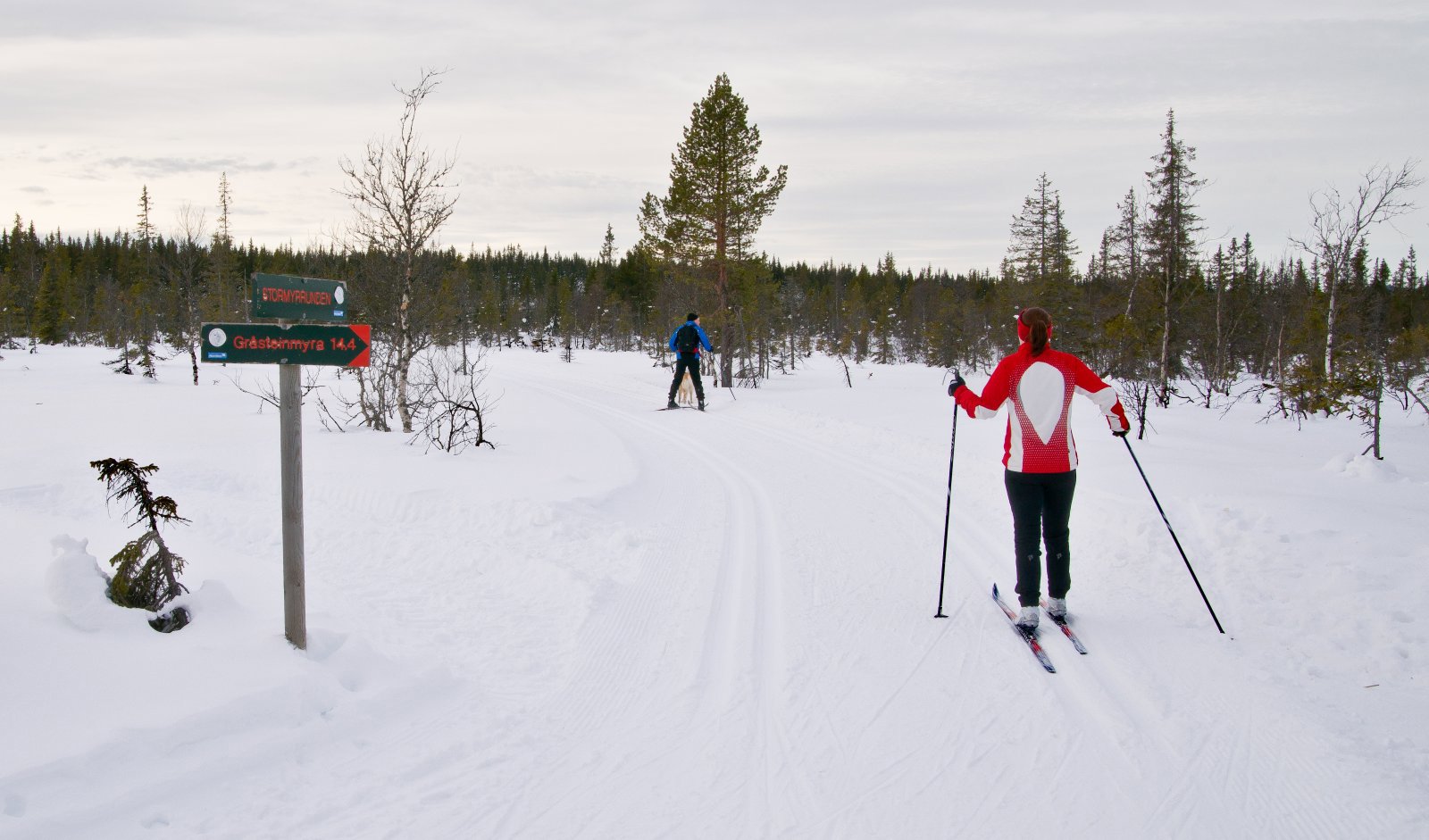 Ved et løypekryss på Stormyrrunden