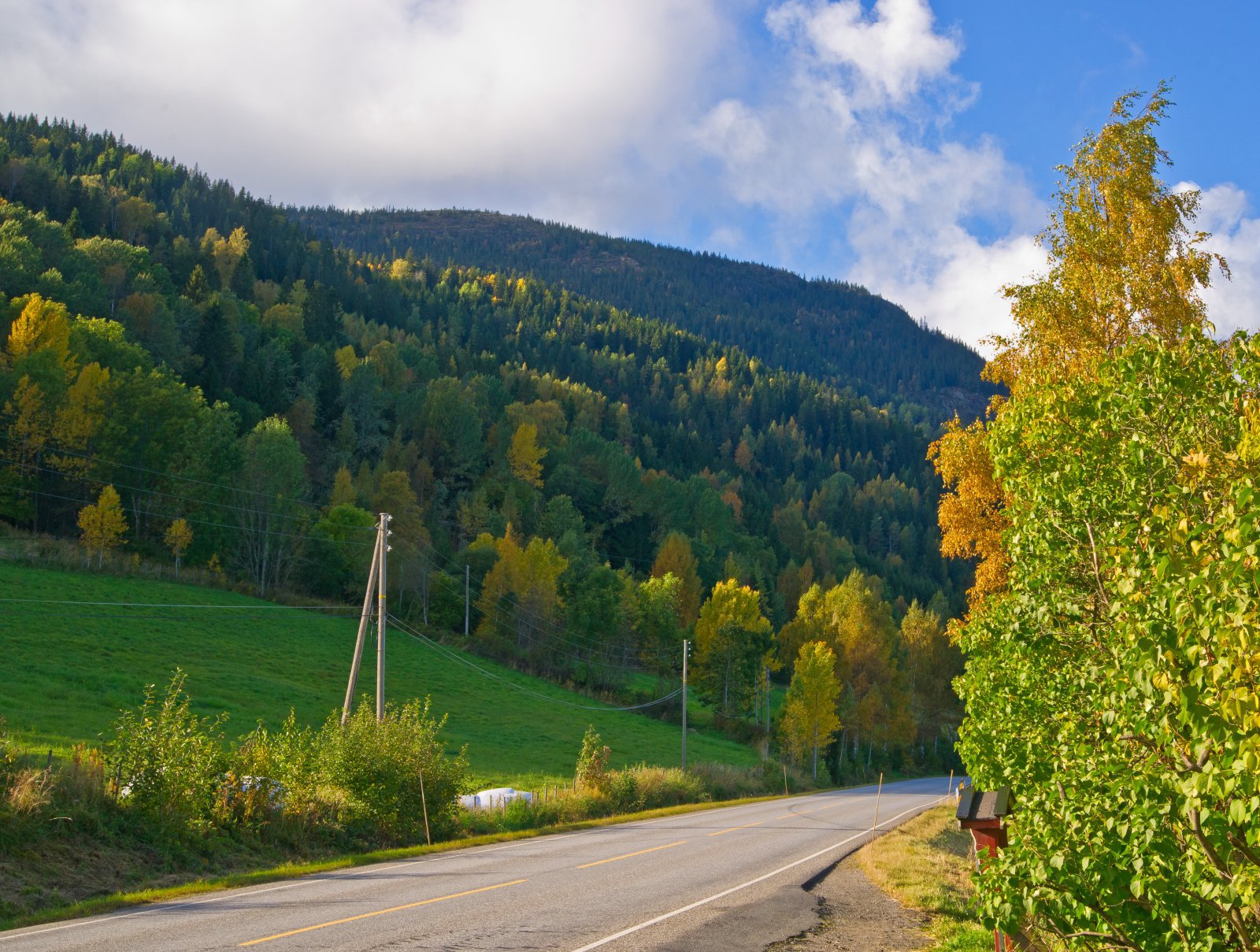 Ved foten av Skreikampen