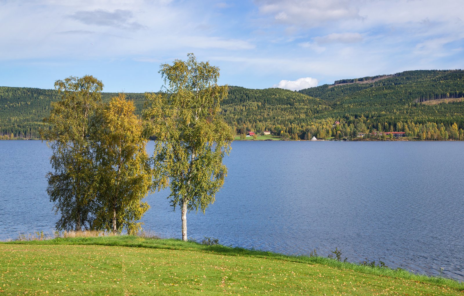 Ved Hurdalssjøen