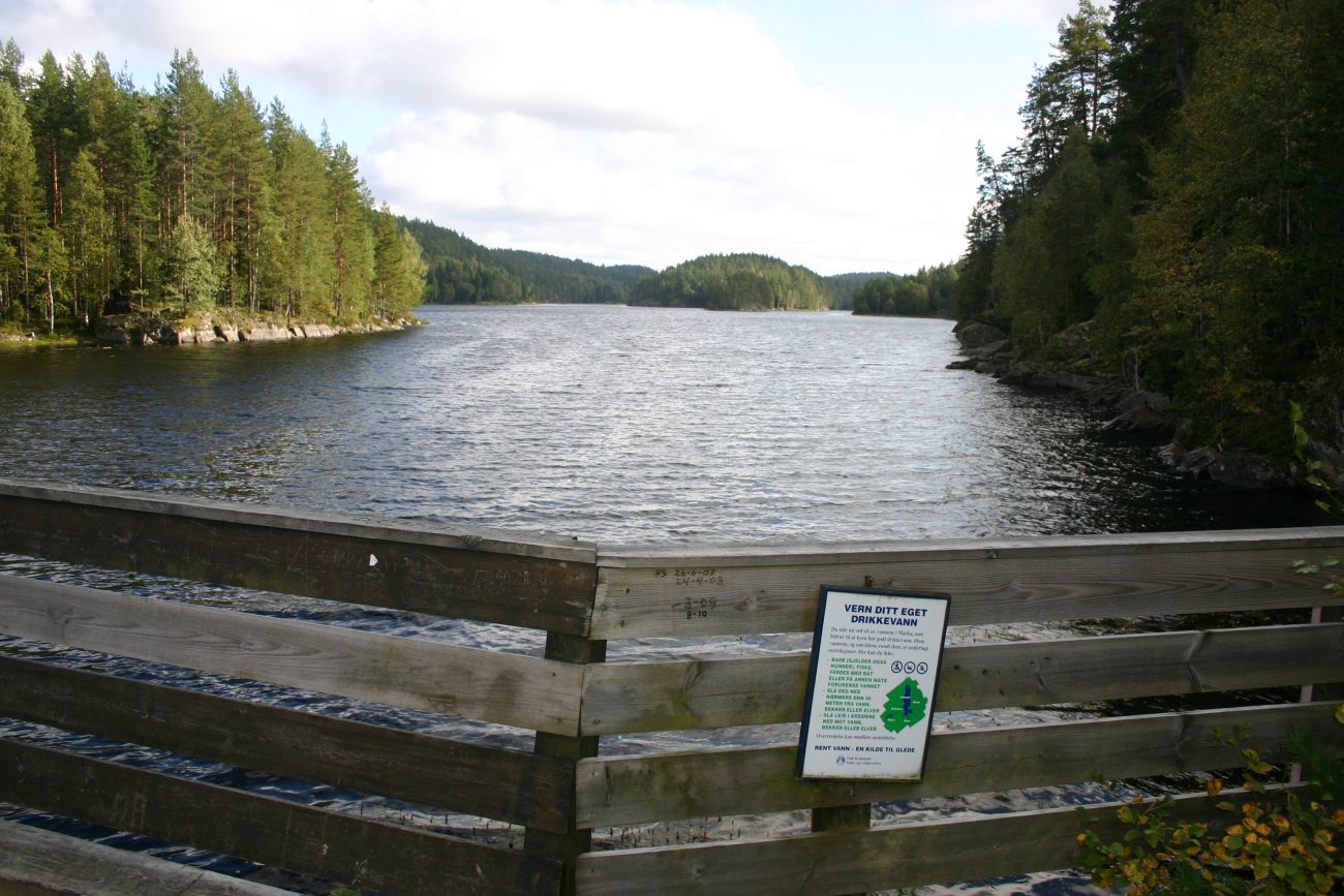 Ved landgang i Sør-Elvåga