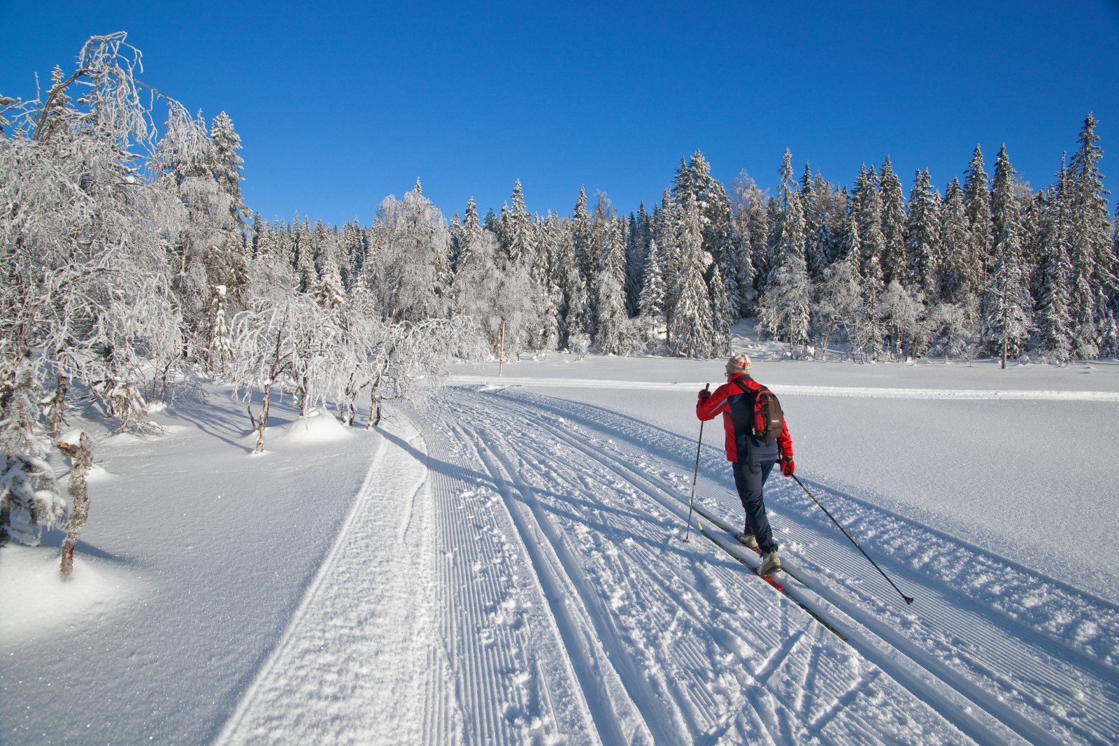 Ved løypedelet på Stormyra