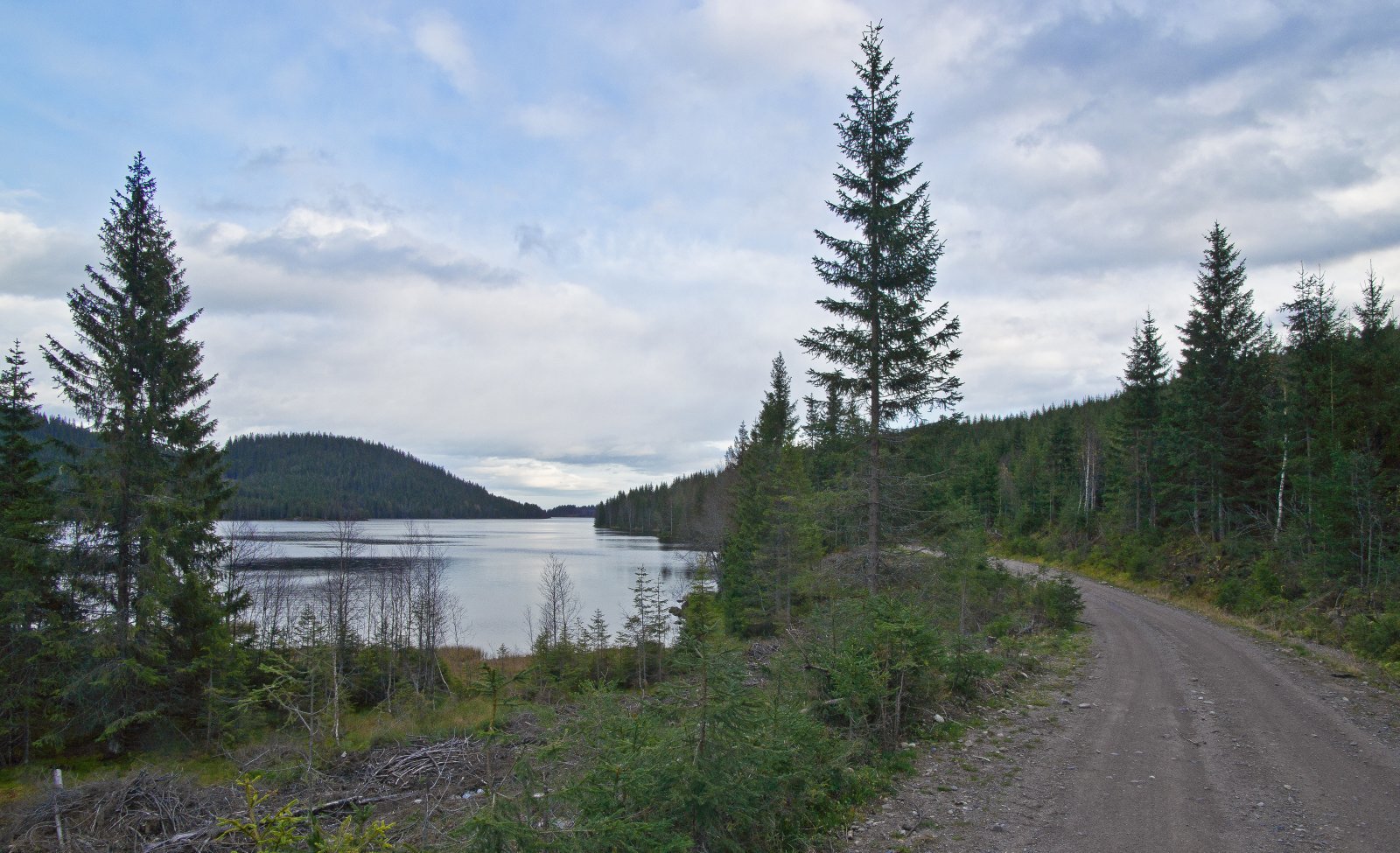 Ved Råsjøens bredder