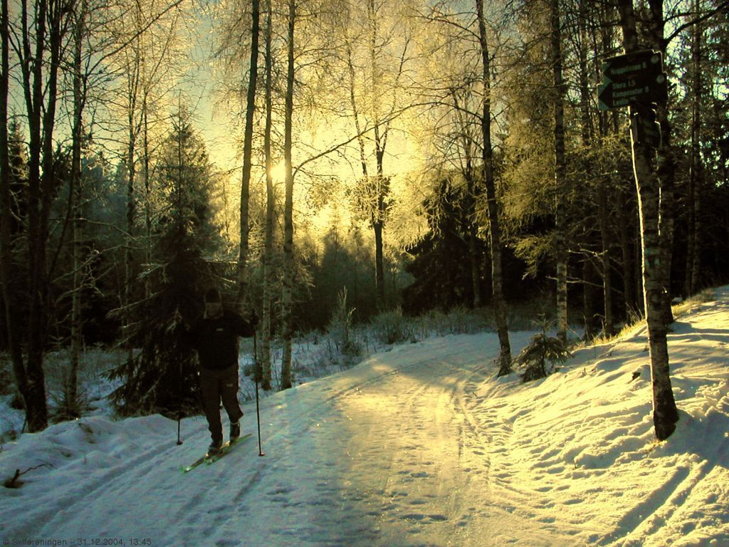 Ved Slora på tampen av 2003