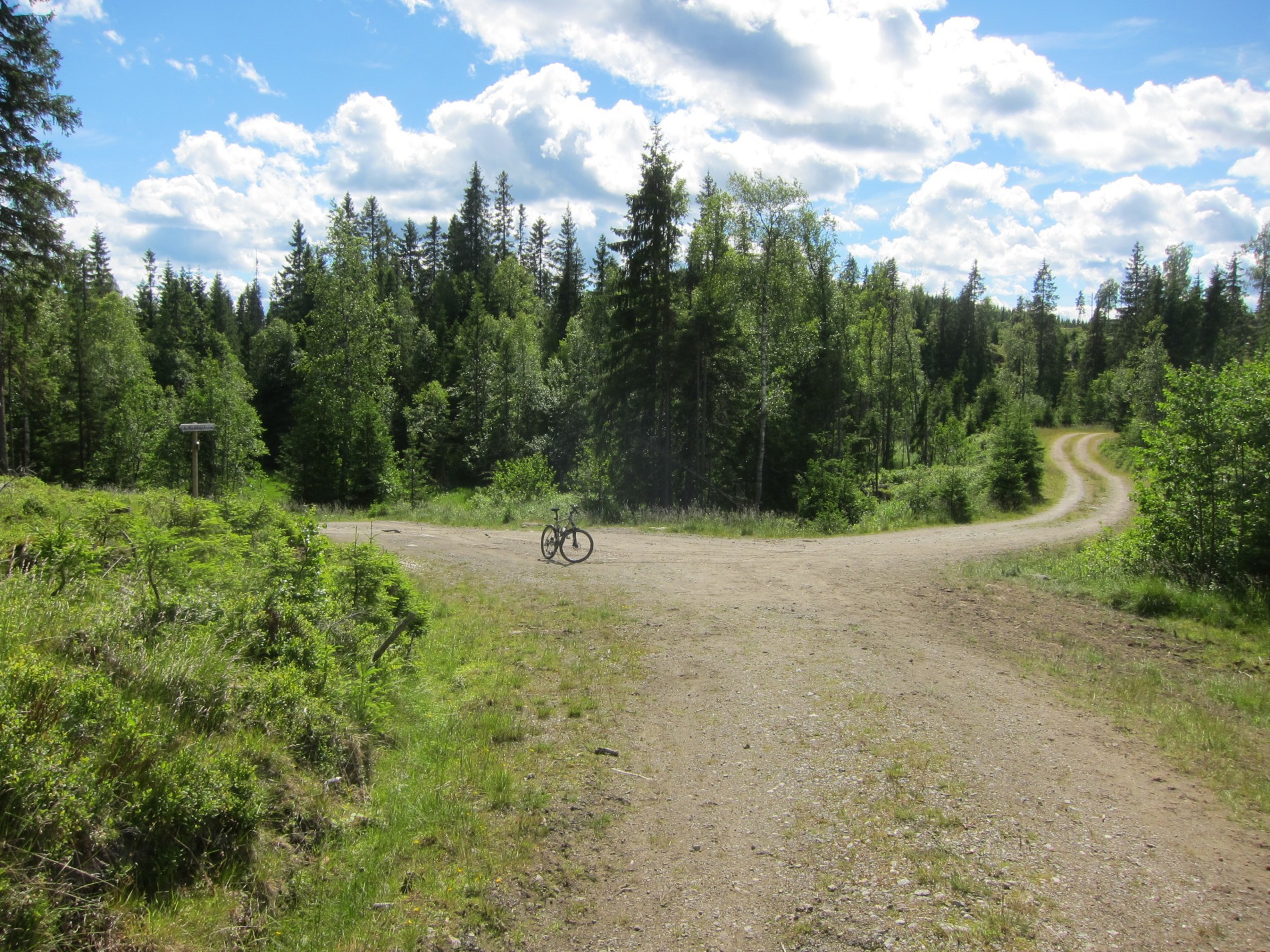 Vegdele ved Nordre Morttjennet