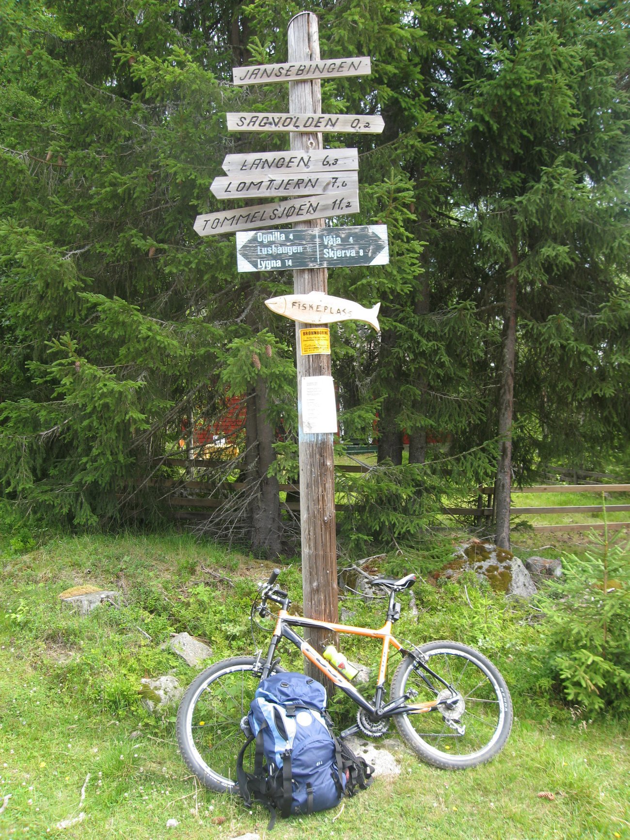 Vegkryss Ognillavegen-Sagvollvegen