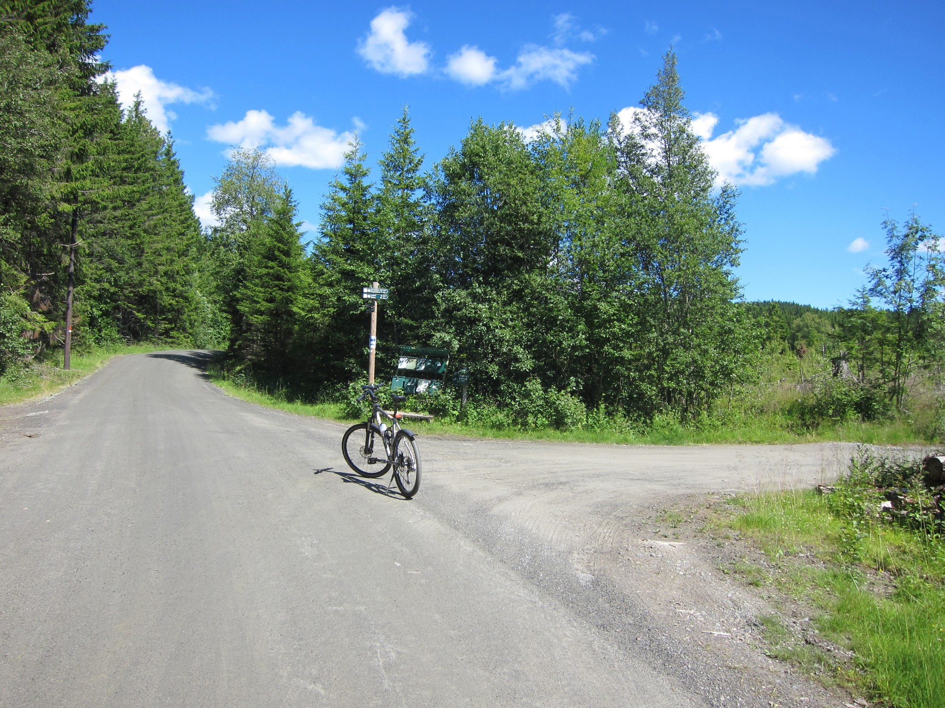 Vegvalg ved Løvstua