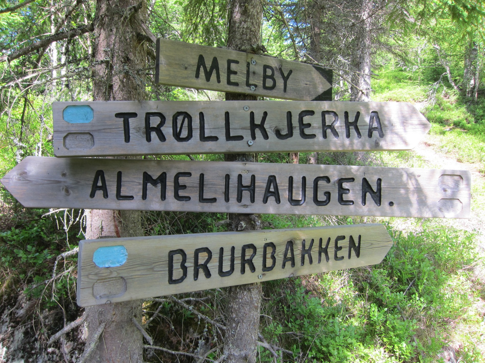 Vegvisere ved Høgdevegen