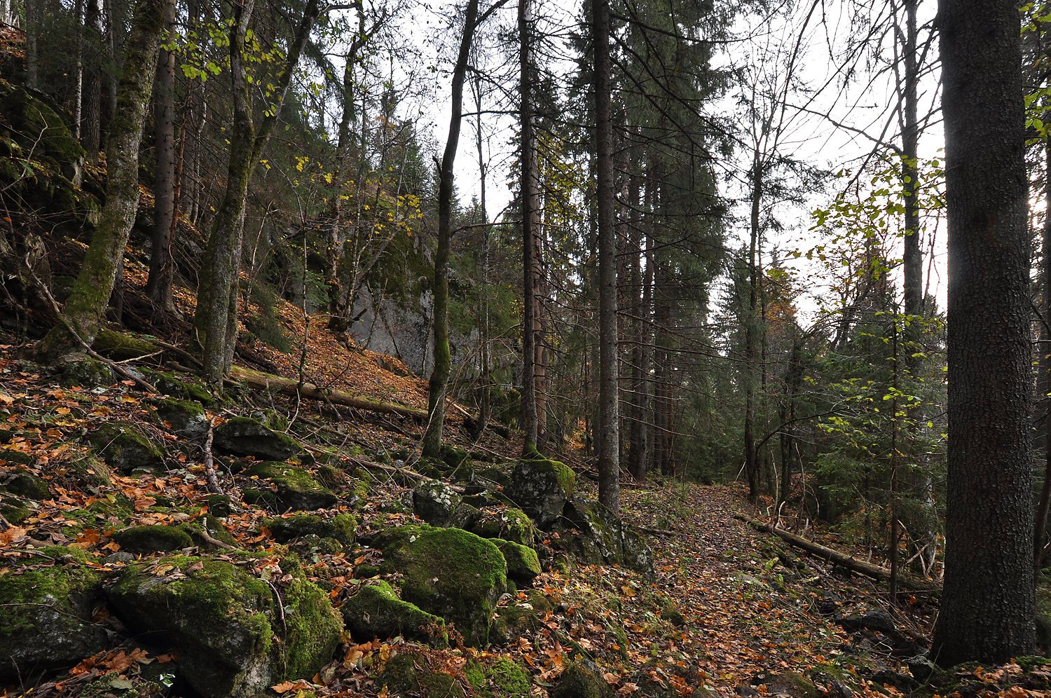 Vei i uveisomt lende