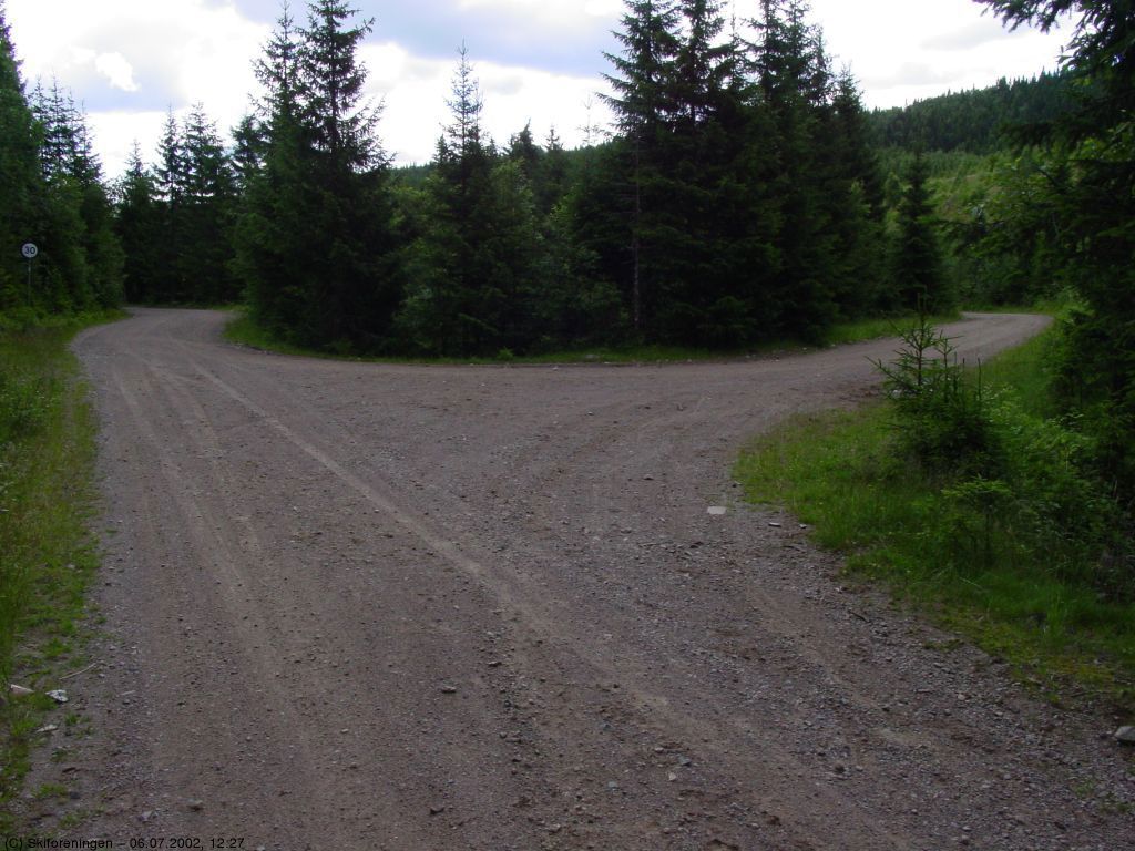 Veidele øst ved Raasjøen