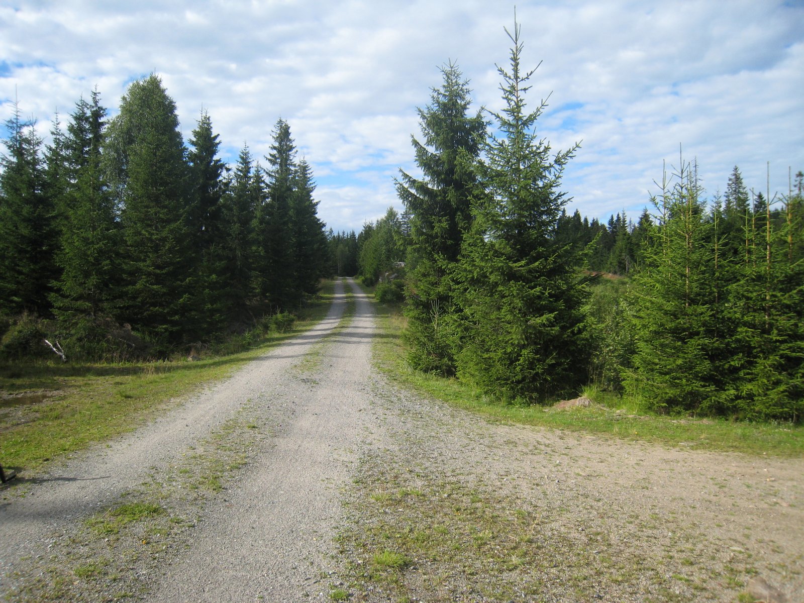 Veidele ved Krafttjennet