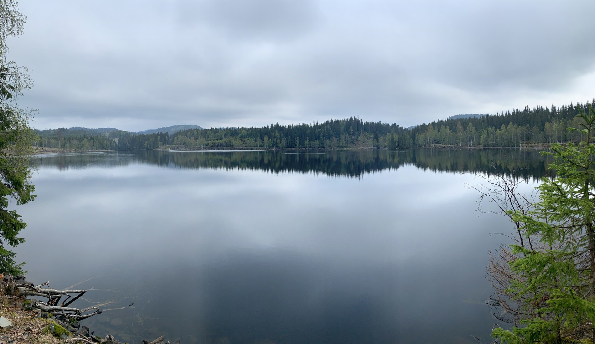 Veien fra Langlia følger vannet fint