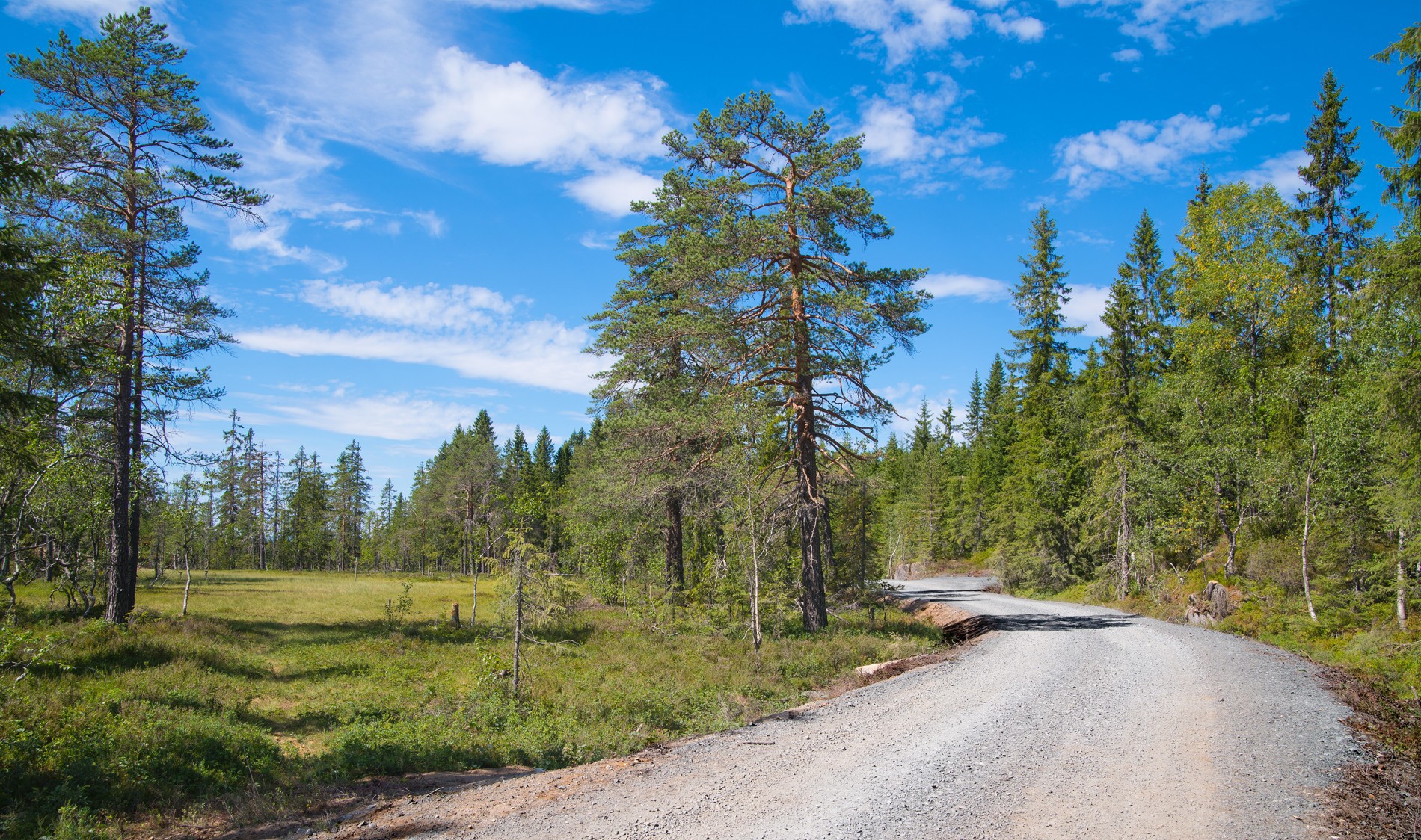Veien over Dammyra er klar