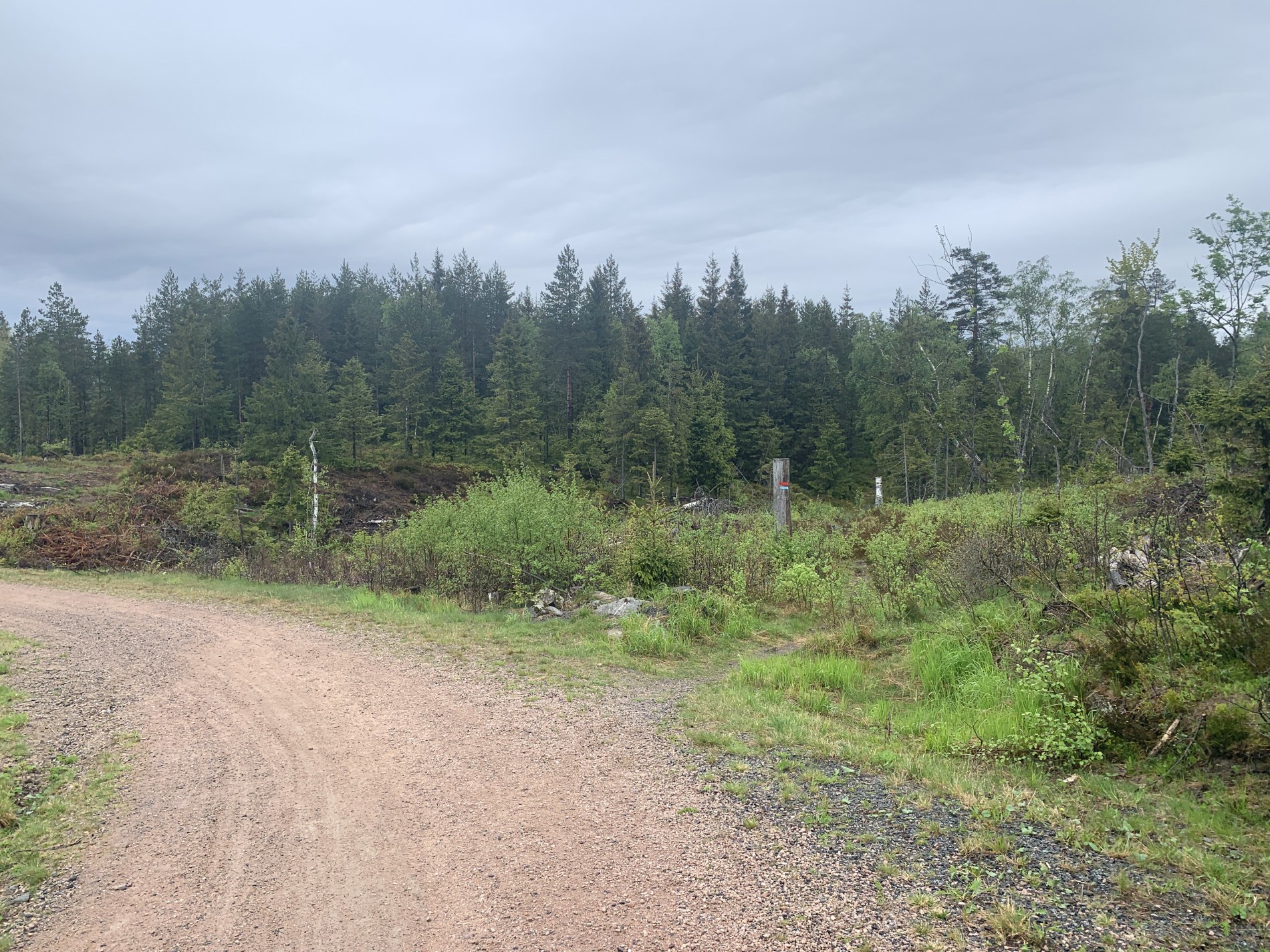 Veien, stien og skiløypa skiller lag på Haukåsen