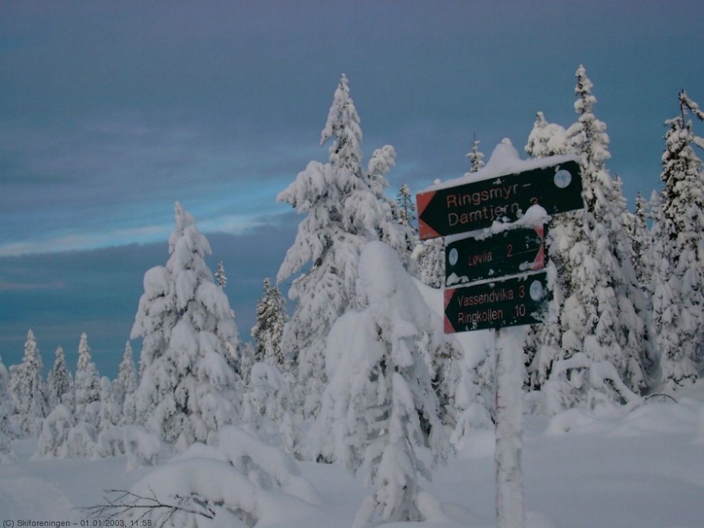 Veikryss ved Ringsmyrene