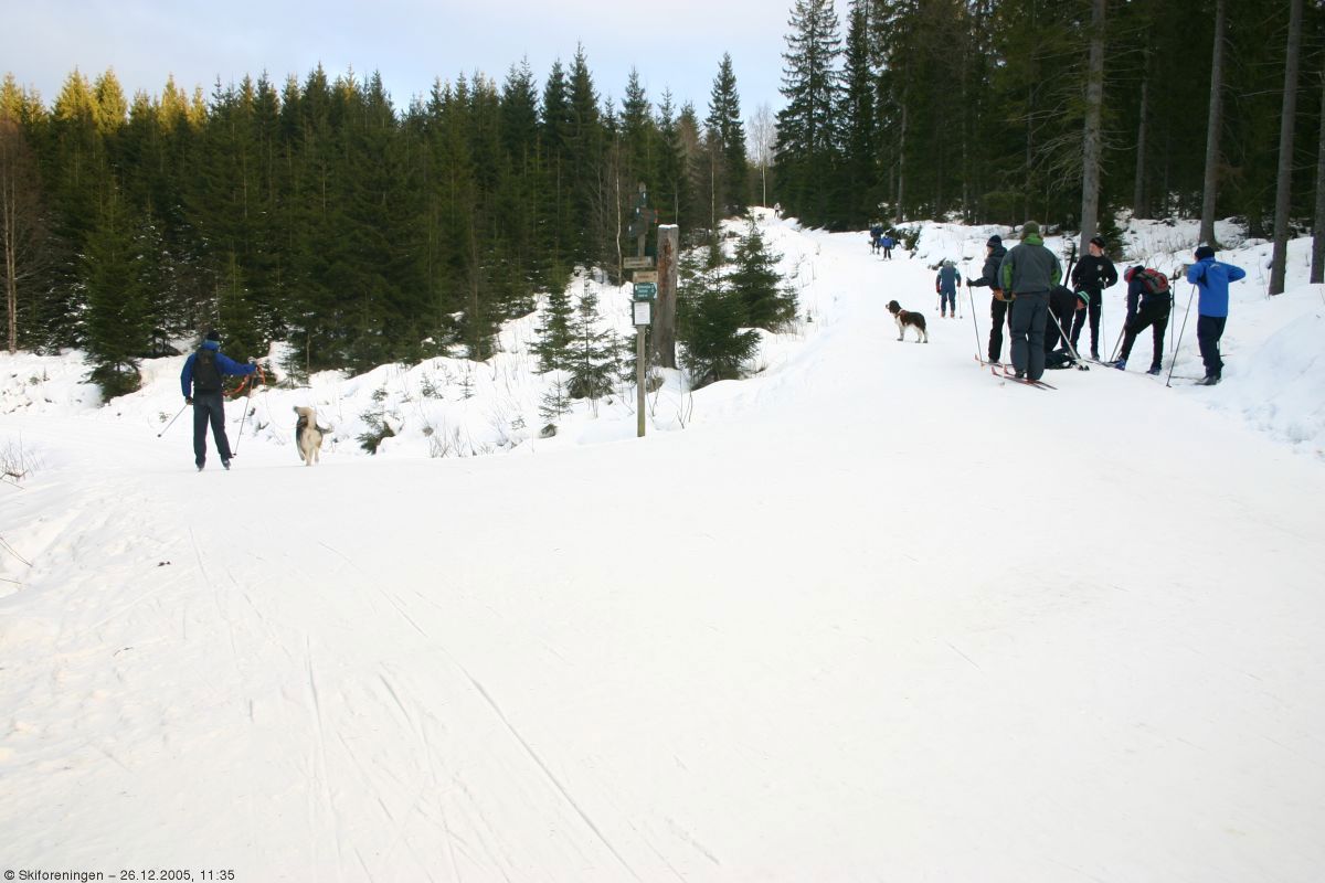 Veivalg nord for Tryvann