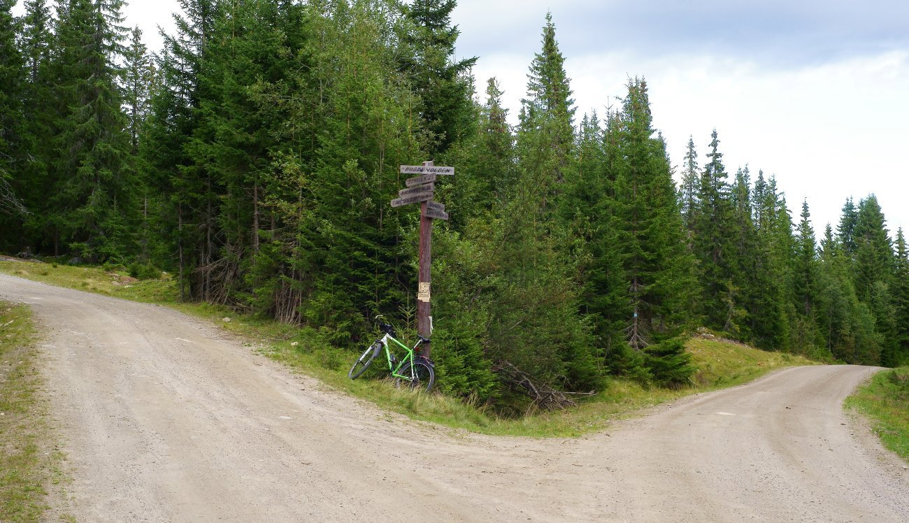 Veivalg ved Bustvolden