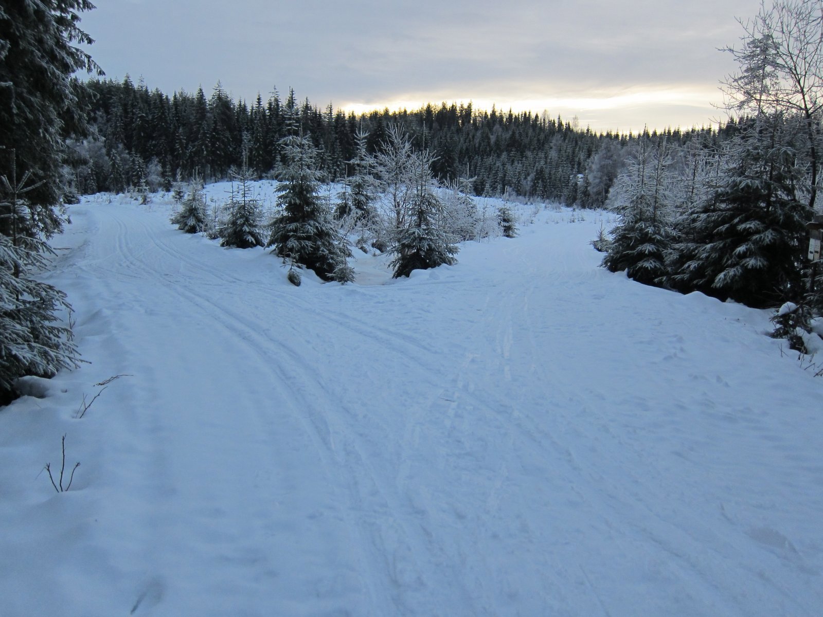 Veivalg ved Djupdalsvangen
