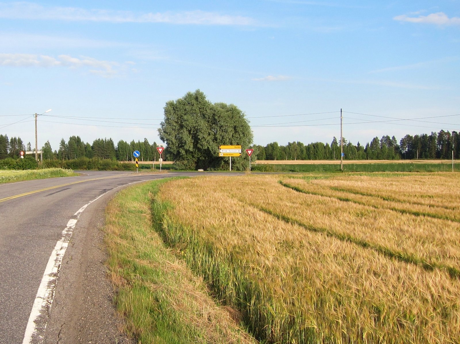 Veivalg ved Moreppen