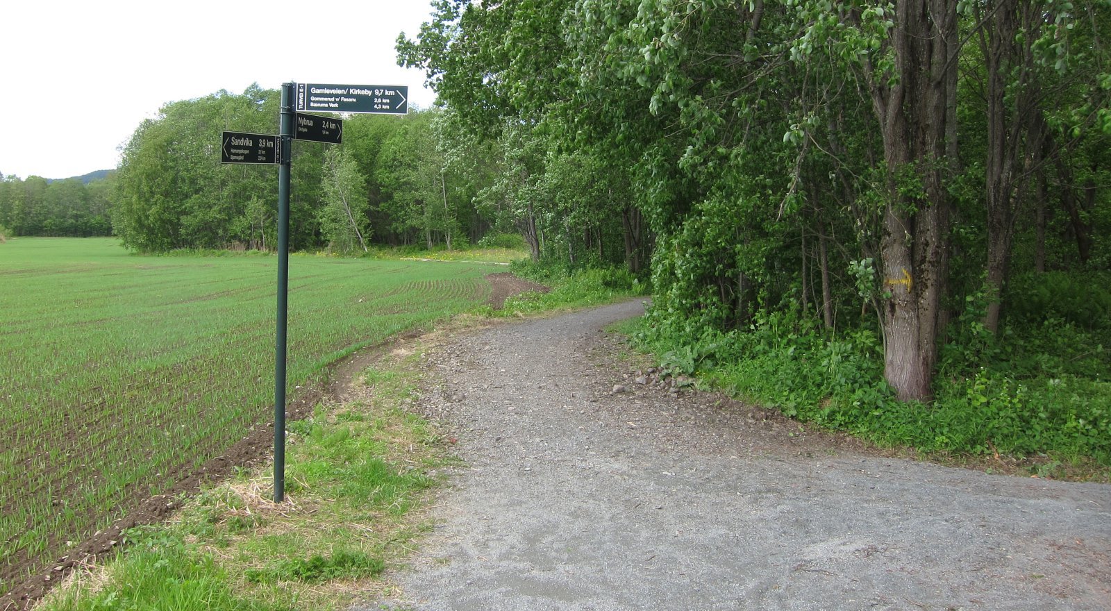 Veivalg ved Vøyenenga