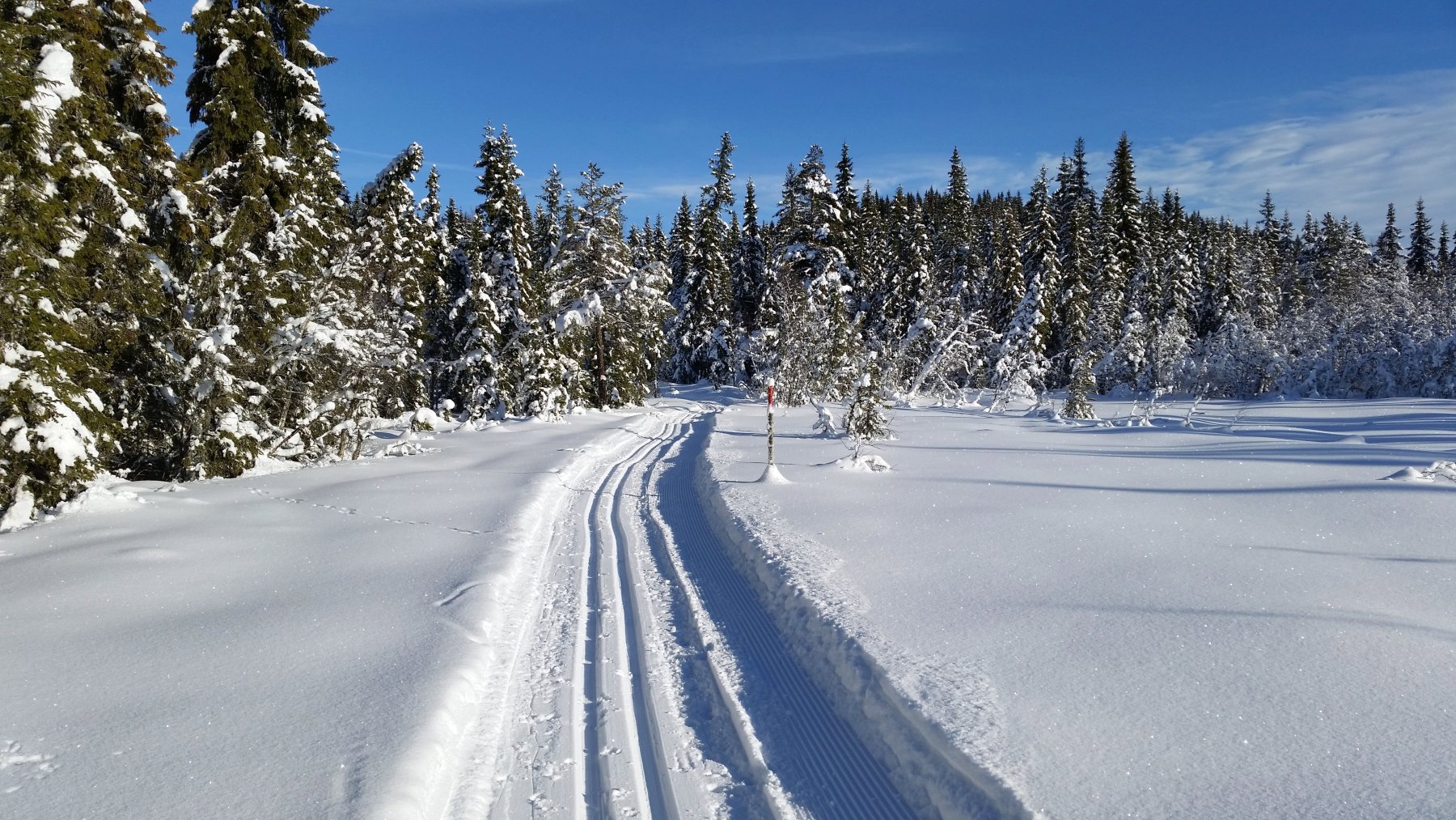 Velomyra mellom Kalvedalen og Tverrsjøen